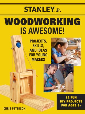 cover image of Stanley Jr. Woodworking is Awesome